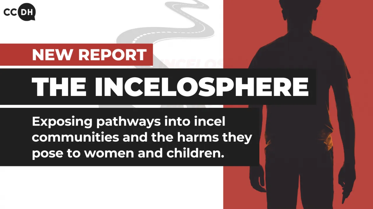 Text: New report. The Incelosphere. Exposing pathways into incel communities and the harms they pose to women and children. Picture: shadow of a man