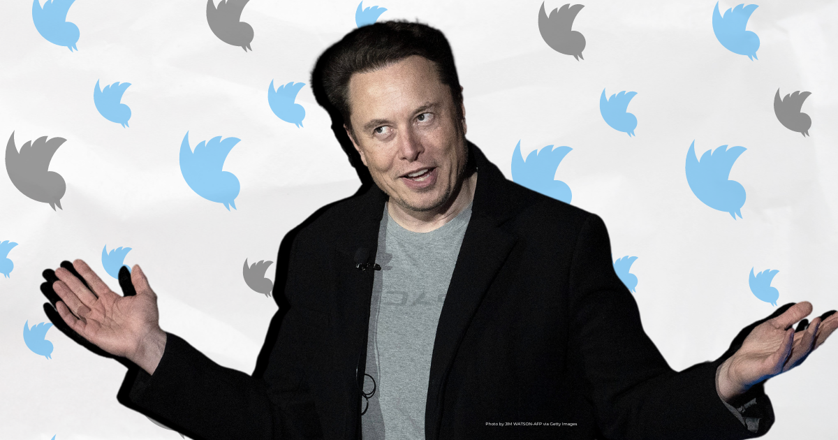 Elon Musk over former Twitter logo