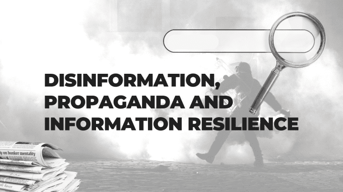 Disinformation, propaganda and information explainer cover