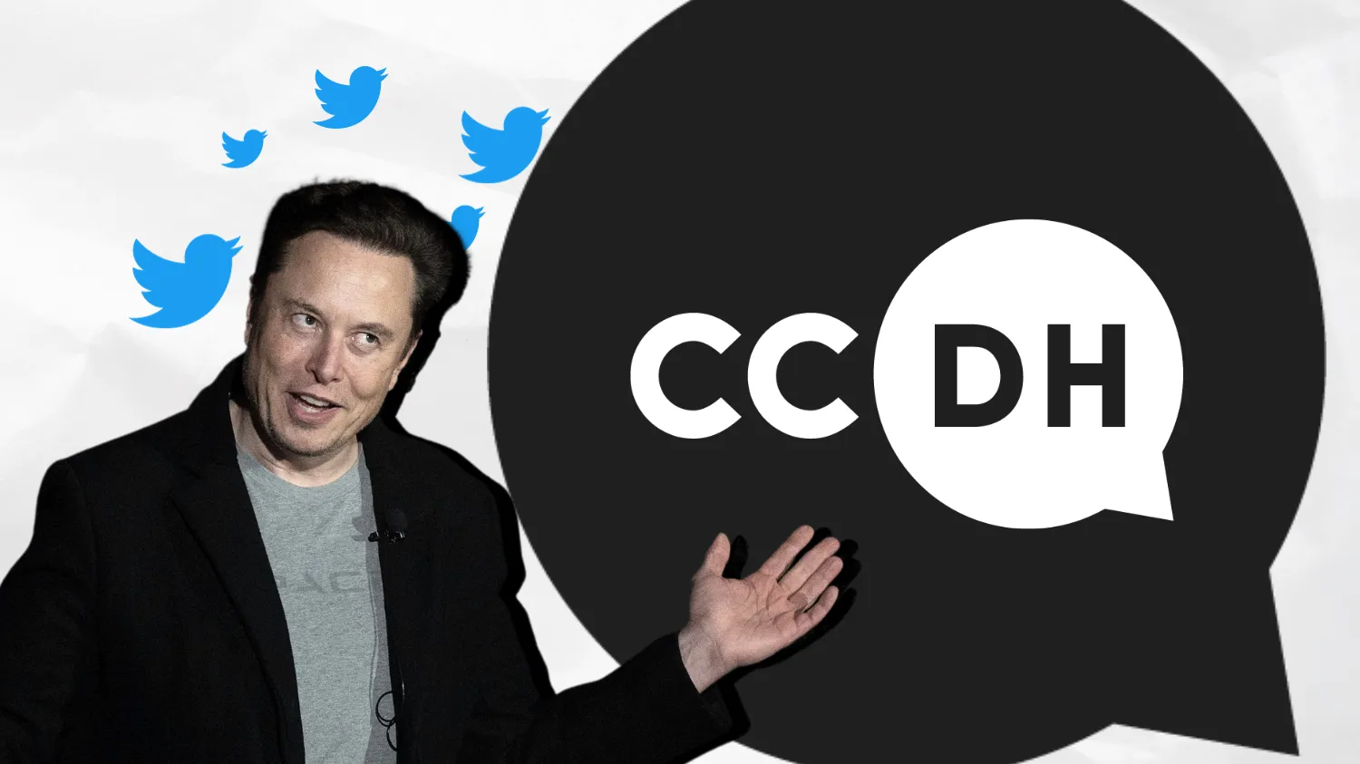 Musk picture next to CCDH's logo