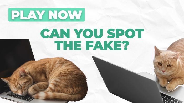 Spot the Fake: AI game